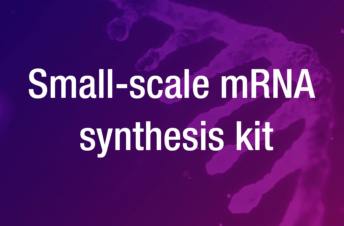 BioXp™ small-scale mRNA synthesis kit