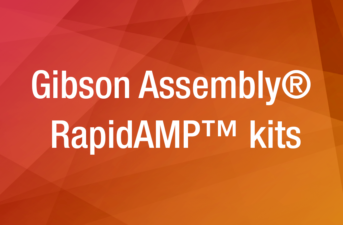 Gibson Assembly® RapidAMP™ Ultra Kit